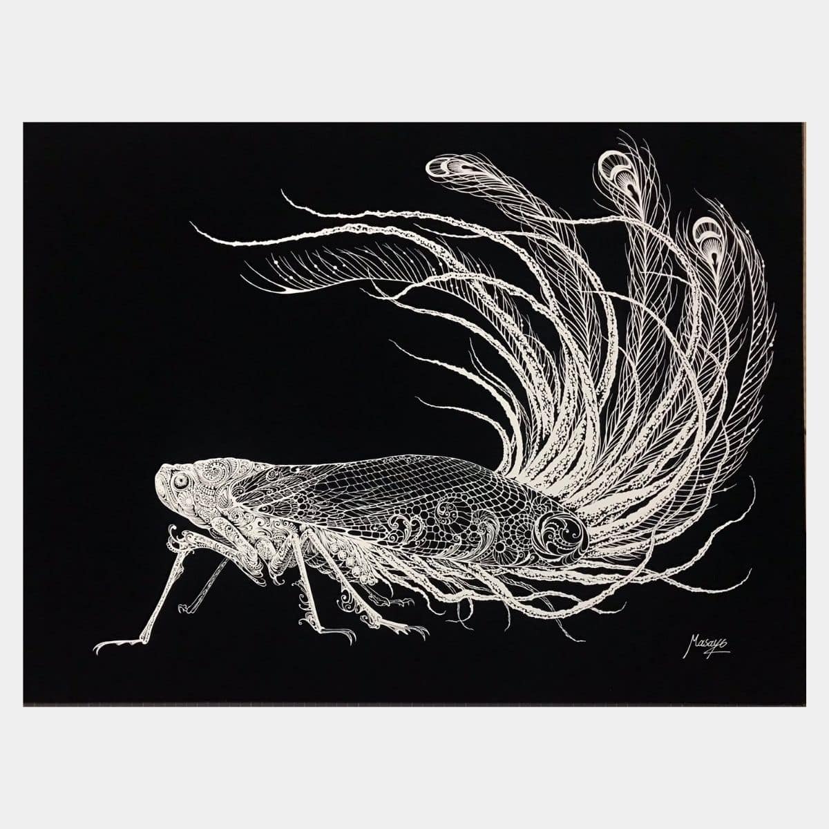 【Papercut art】Peacock Feathers