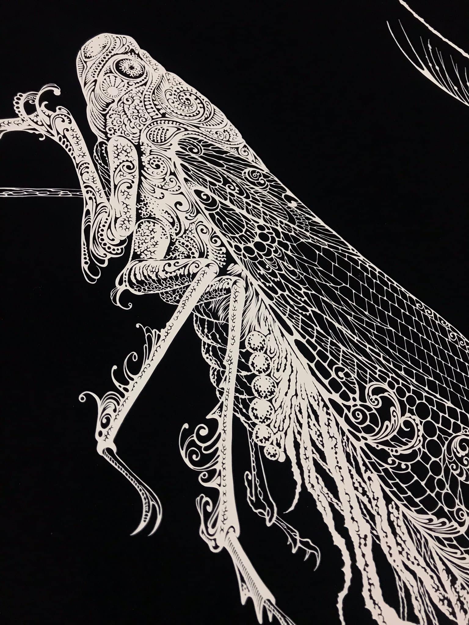 【Papercut art】Peacock Feathers - Image 3