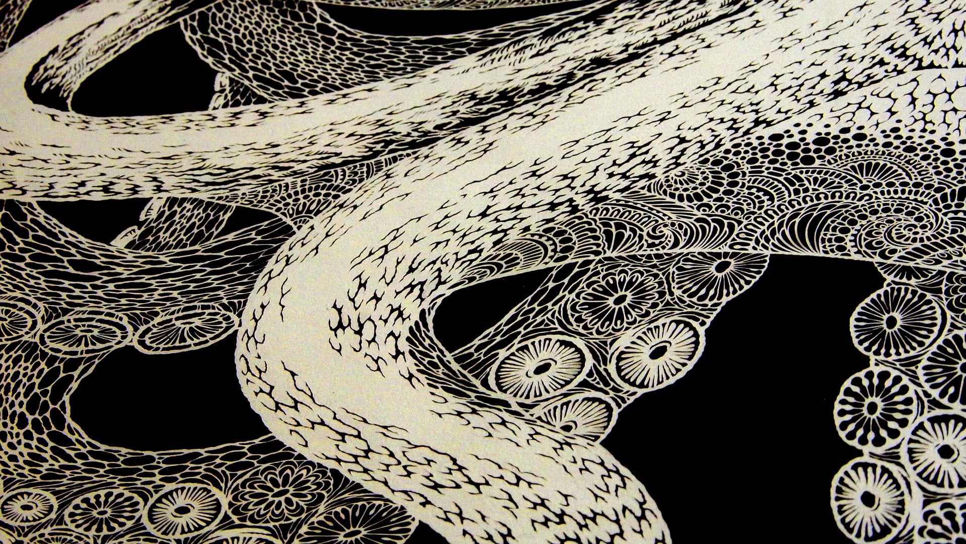 【Giclee prints】Octopus - Image 3