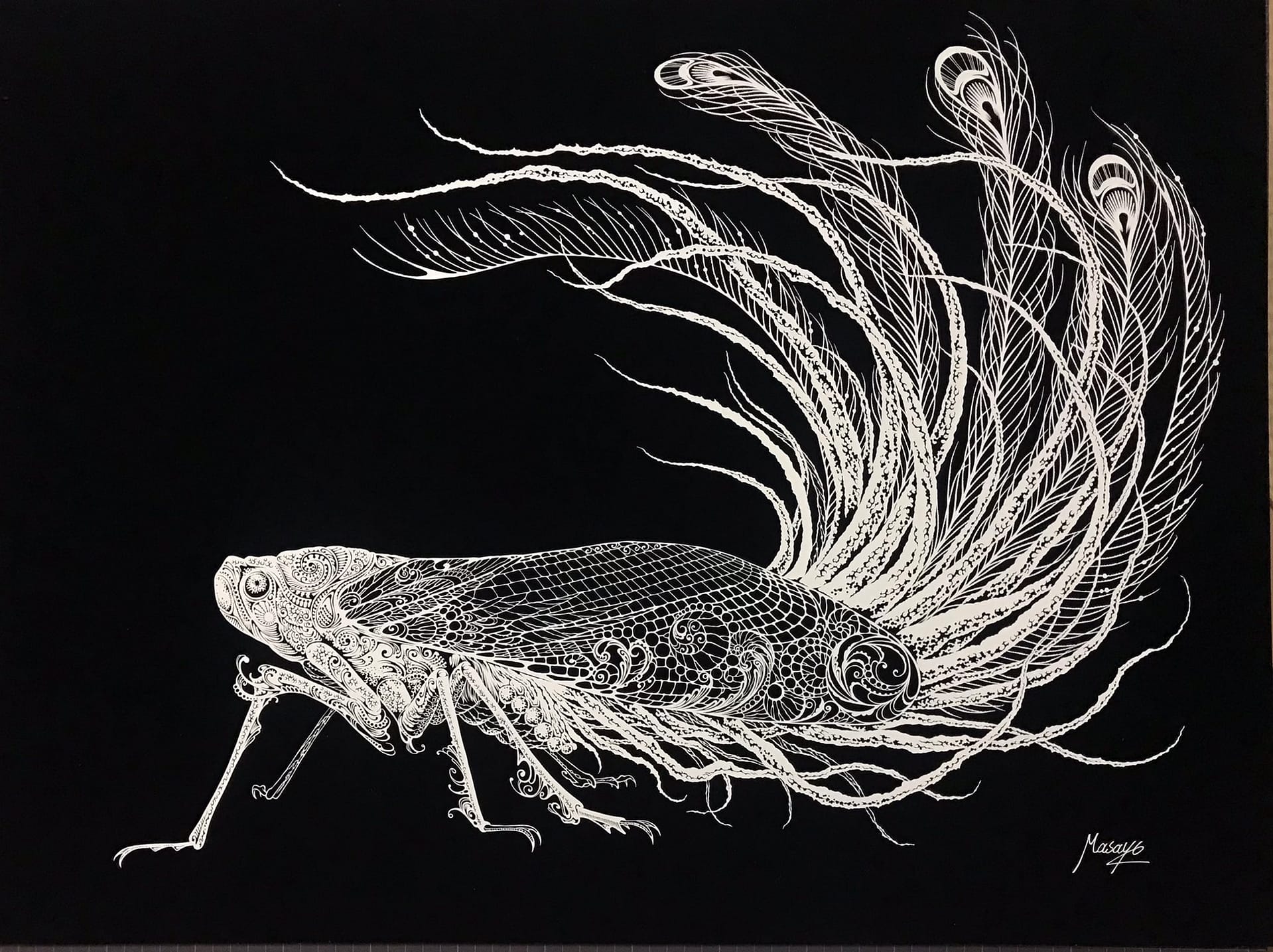 【Papercut art】Peacock Feathers - Image 2