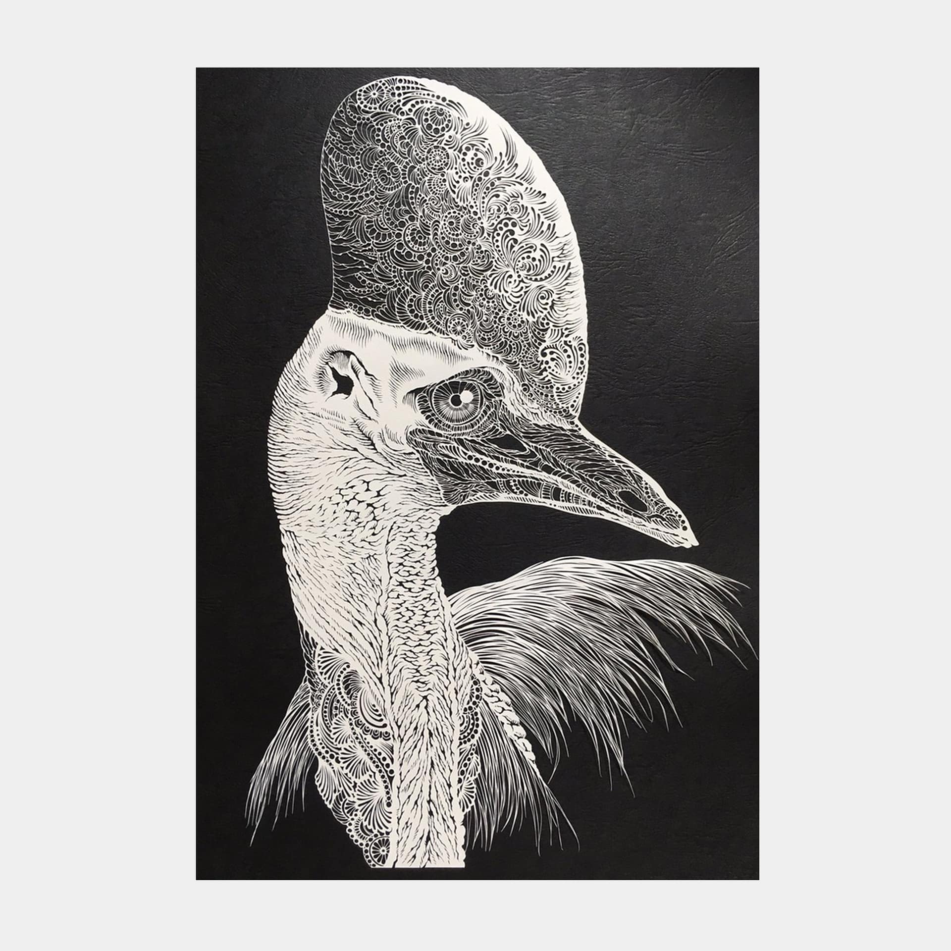 【Giclee prints】Cassowary