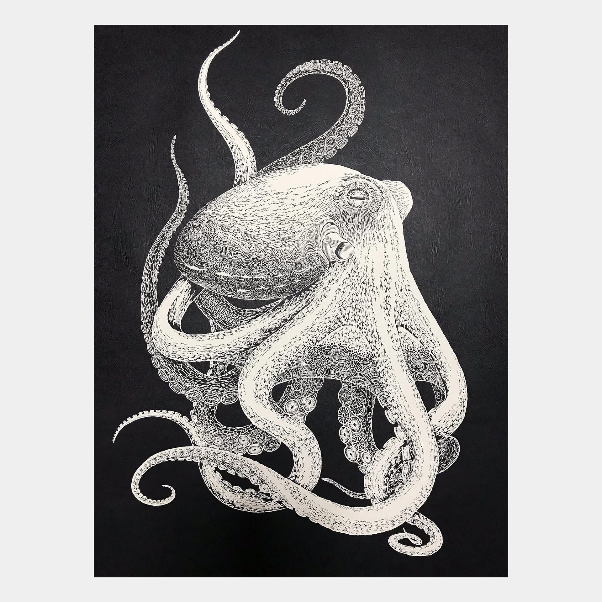 【Giclee prints】Octopus