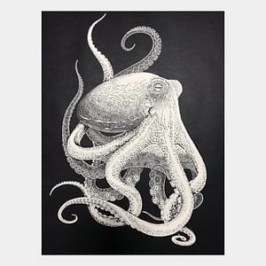 【Papercut art】Octopus