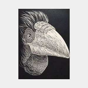 【Papercut art】Wreathed hornbill