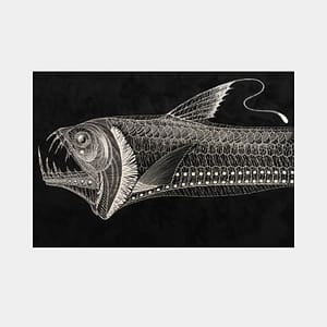 【Papercut art】Remaining dream