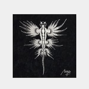 【Papercut art】Blue glaucus