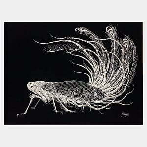 【切り絵】孔雀羽衣