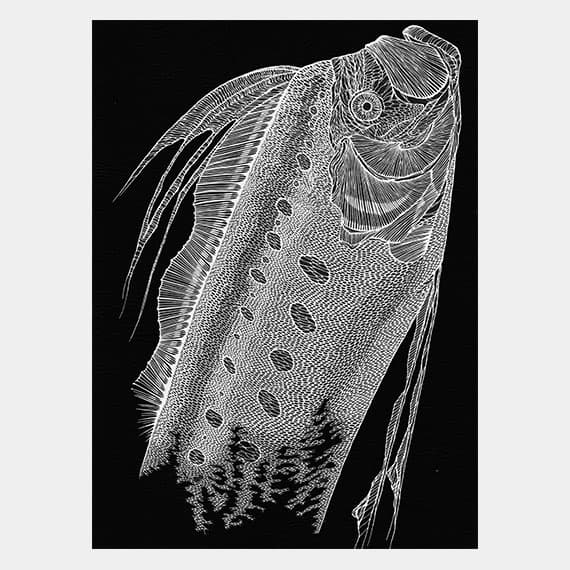 【クラフト】リュウグウノツカイ(合作)