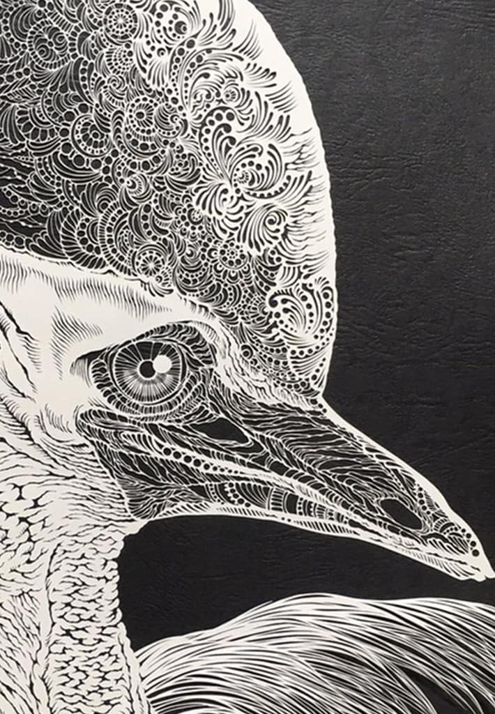 【Giclee prints】Cassowary - Image 3