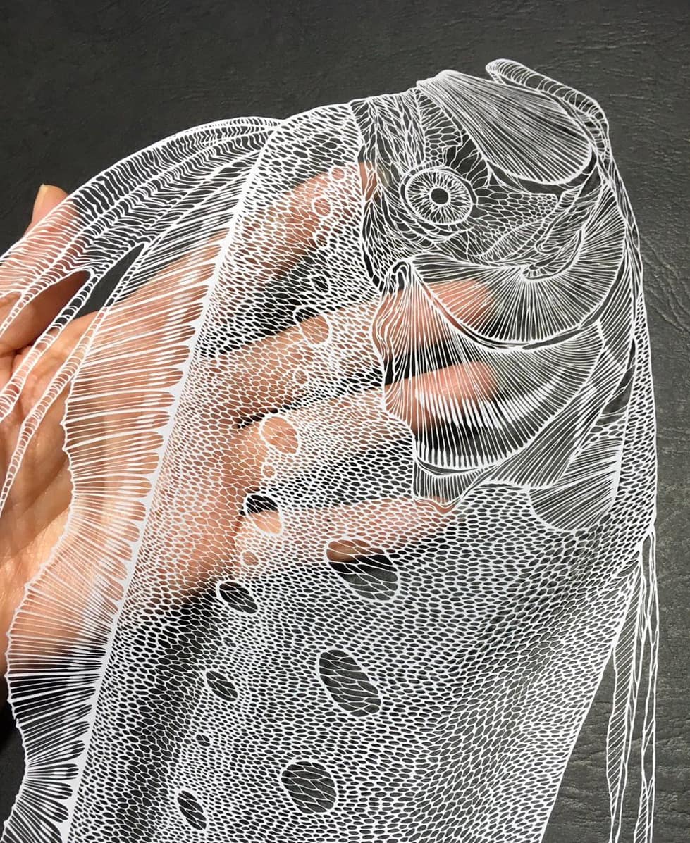 【クラフト】リュウグウノツカイ(合作) - 画像 (3)